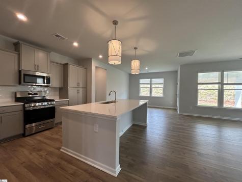 203 Thurgood Drive Extension Greenville SC 29607