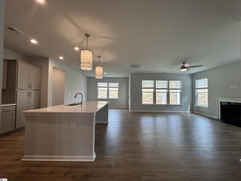 203 Thurgood Drive Extension Greenville SC 29607