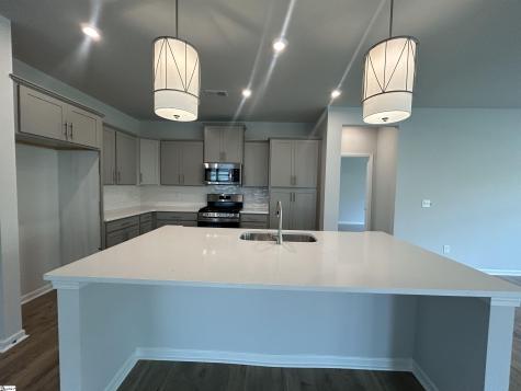 203 Thurgood Drive Extension Greenville SC 29607
