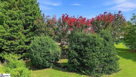 21 Affirmed Court Greenville SC 29617