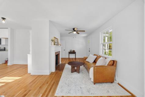 14 Tabor Street Greenville SC 29609