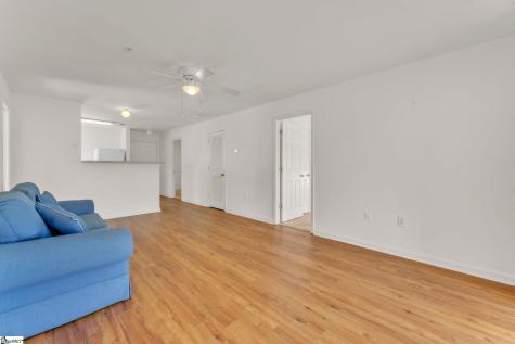 146 University Village Drive Central SC 29630