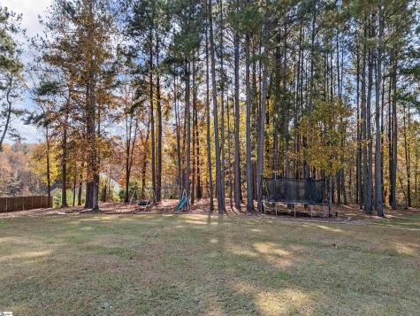 580 Canewood Lane Campobello SC 29322