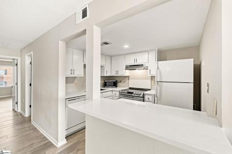 925 Cleveland Street Greenville SC 29601