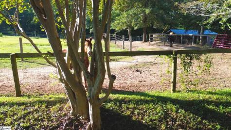 700 N Trade (B) Avenue Landrum SC 29536