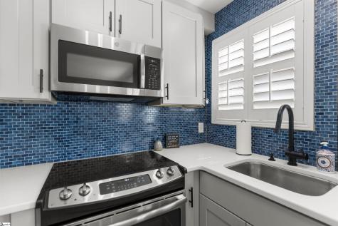 100 Lewis Drive Greenville SC 29605