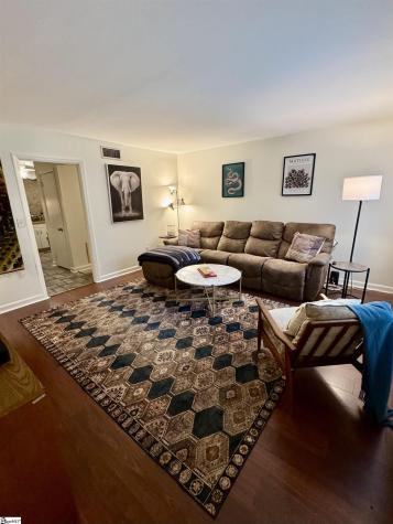 22 Balfer Court Greenville SC 29615
