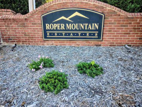9 Wildflower Court Greenville SC 29615