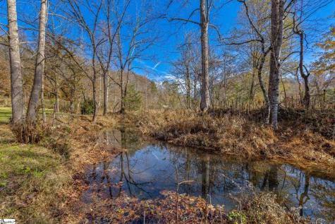 202 Cove Creek Road Pickens SC 29671