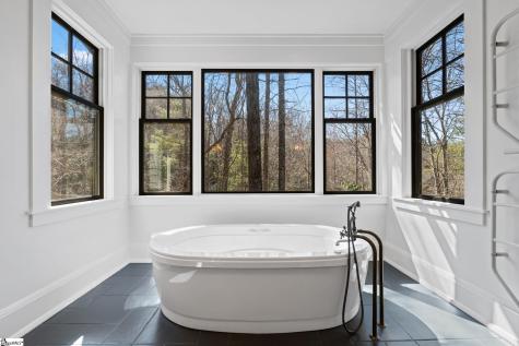 109 Wood Sorrell Way Sunset SC 29685
