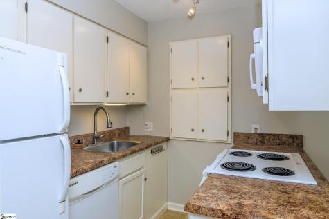 311 W Earle Street Greenville SC 29609