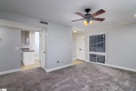 311 W Earle Street Greenville SC 29609