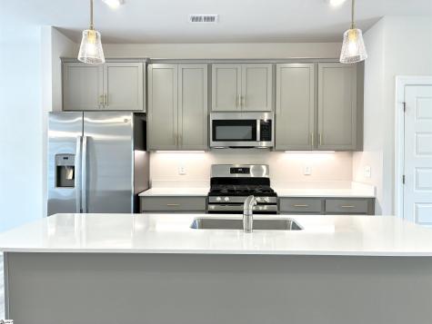 243 Taylor Woods Court Greenville SC 29607
