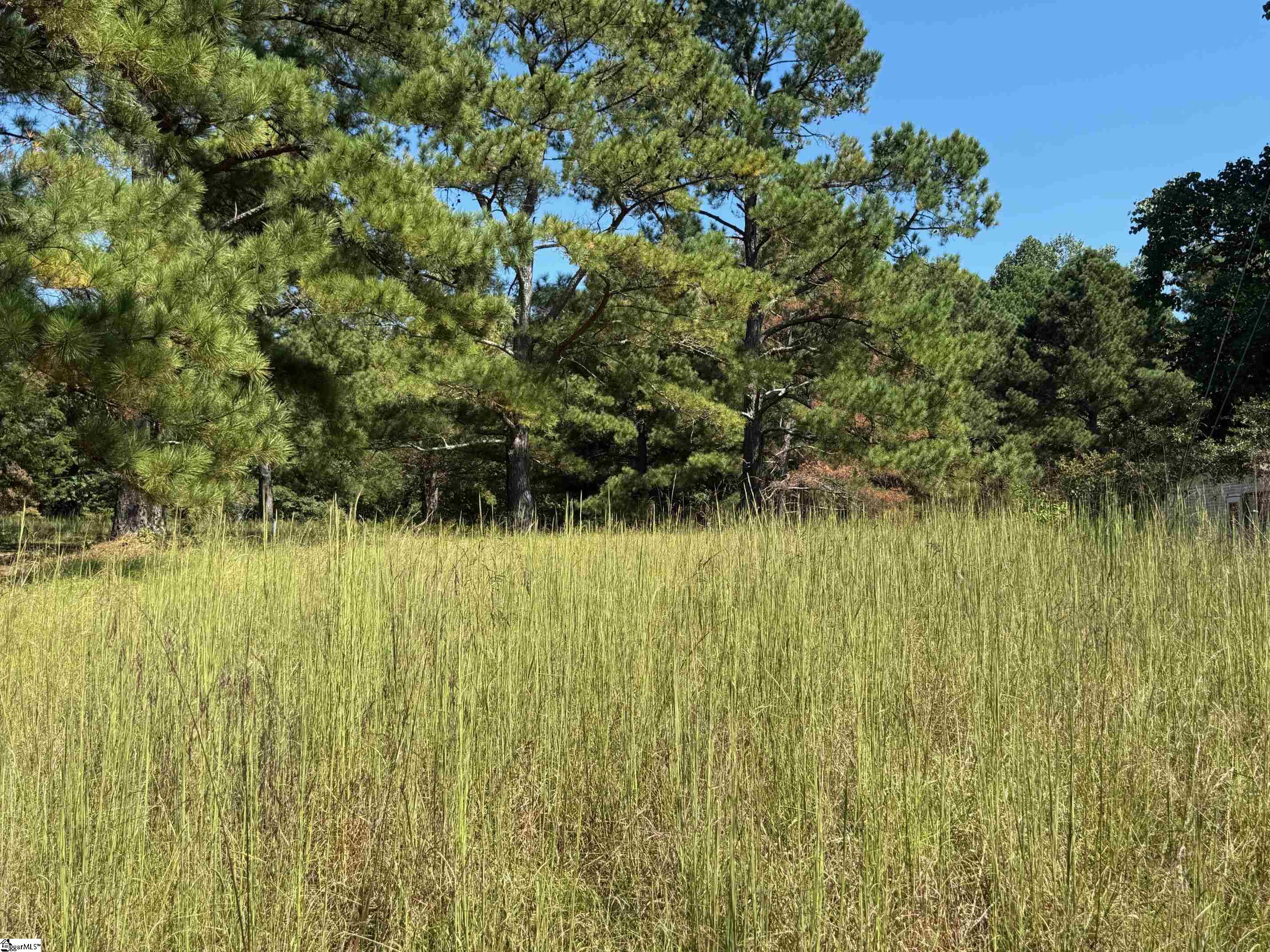 0 Water Mill Road Cowpens SC 29330