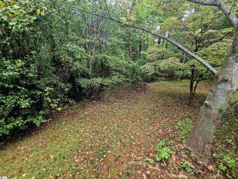 8 Overlook Court Greenville SC 29609