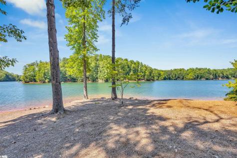 105 Burwood Court Sunset SC 29685