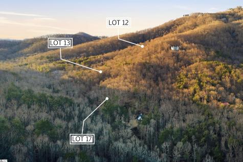 0 Hidden Glory Drive Landrum SC 29356