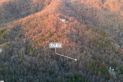0 Hidden Glory Drive Landrum SC 29356