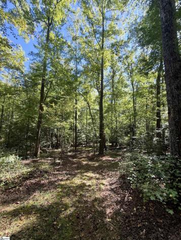 1100 Tugaloo Road Landrum SC 29356