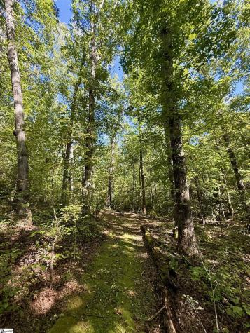 1100 Tugaloo Road Landrum SC 29356