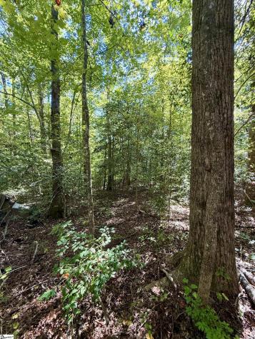 1100 Tugaloo Road Landrum SC 29356