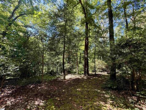 1100 Tugaloo Road Landrum SC 29356