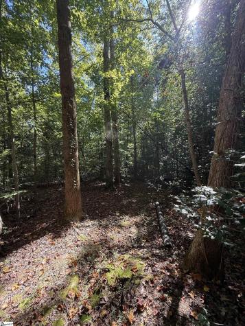 1100 Tugaloo Road Landrum SC 29356