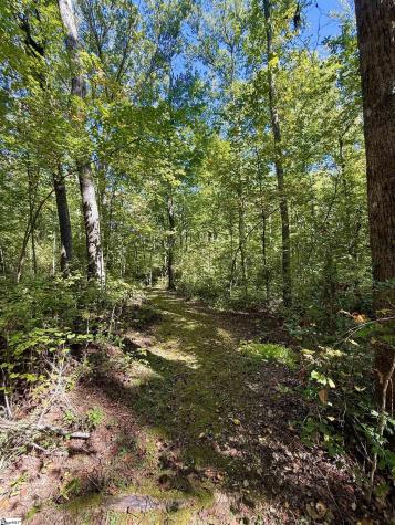 1100 Tugaloo Road Landrum SC 29356