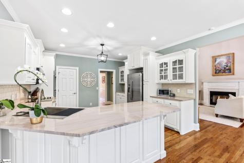 3 Charlestonplace Court Greenville SC 29615
