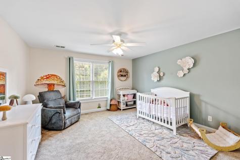 3 Charlestonplace Court Greenville SC 29615