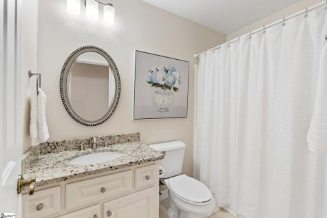 3 Charlestonplace Court Greenville SC 29615