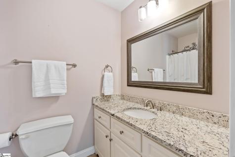 3 Charlestonplace Court Greenville SC 29615