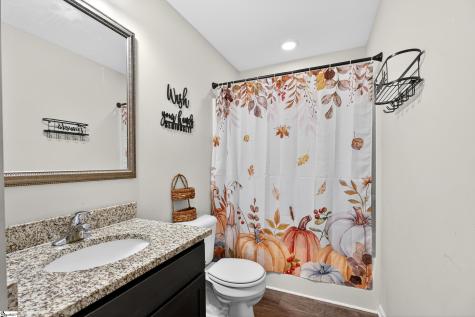 117 Bruinen Drive Fountain Inn SC 29644