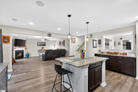 117 Bruinen Drive Fountain Inn SC 29644