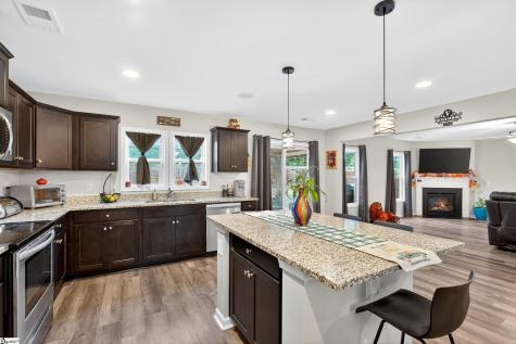 117 Bruinen Drive Fountain Inn SC 29644
