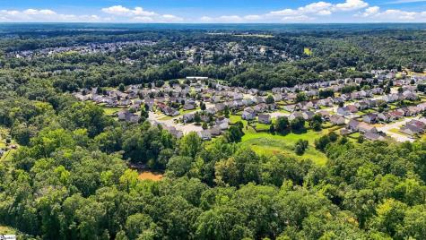 9 Hollow Tree Way Greenville SC 29605