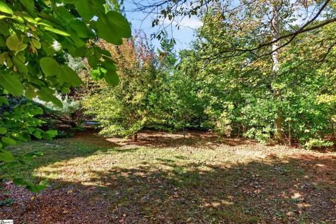 56 Montague Circle Greenville SC 29617