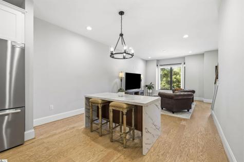 23 Conwell Street Greenville SC 29601