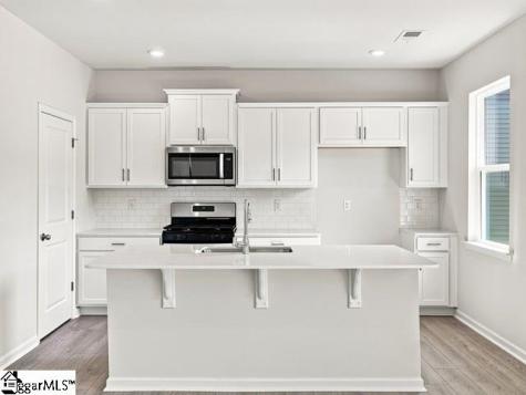 576 Landseer Drive Landrum SC 29356