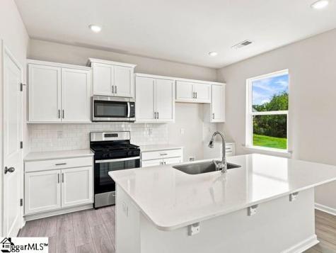 576 Landseer Drive Landrum SC 29356