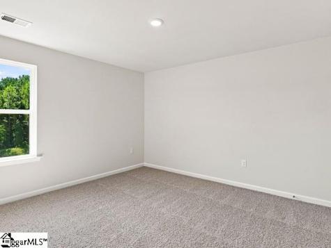 576 Landseer Drive Landrum SC 29356