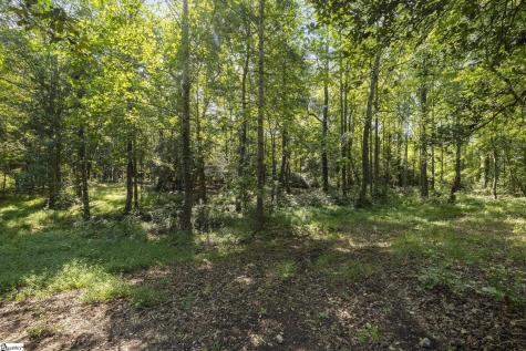 195 Pine Trace Campobello SC 29322
