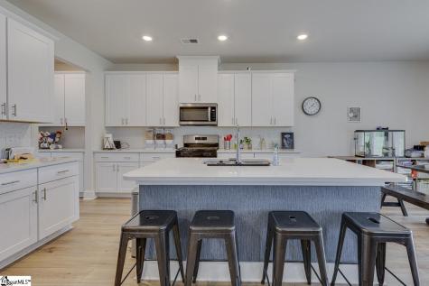 208 Roderick Lane Greenville SC 29605
