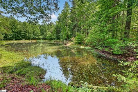 1310 Camp Creek Road Taylors SC 29687