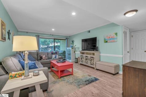 103 Swansgate Place Greenville SC 29605