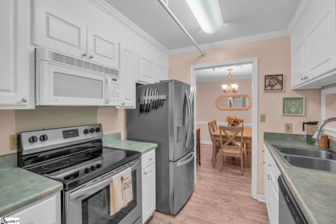 103 Swansgate Place Greenville SC 29605