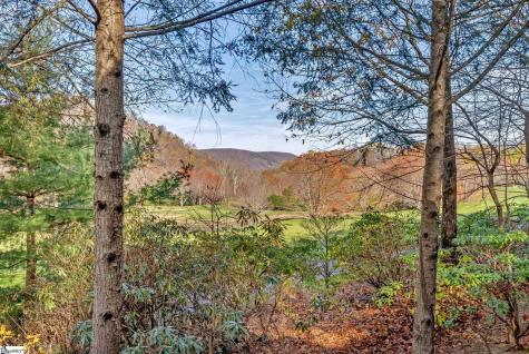 106 Fire Pink Way Landrum SC 29356