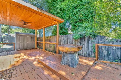 312 Pinckney Street Greenville SC 29601