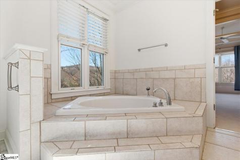 3 Rustic Court Landrum SC 29356