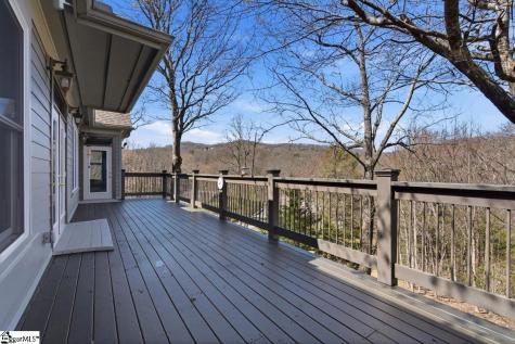 3 Rustic Court Landrum SC 29356